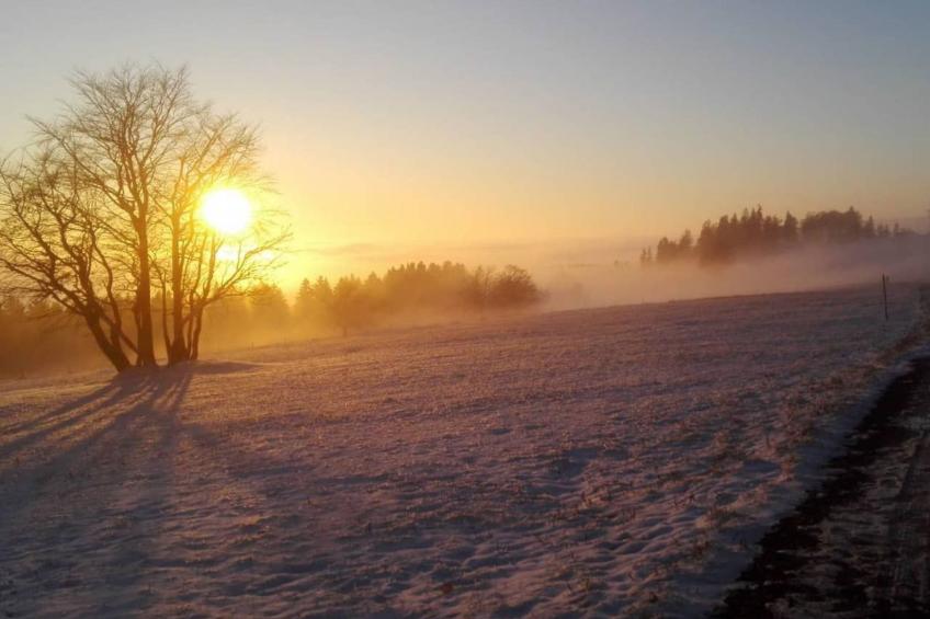Schöne Moderne Ferienwohnung für 2-4 Personen + Hund in Sankt Andreasberg im Ob - foto 24