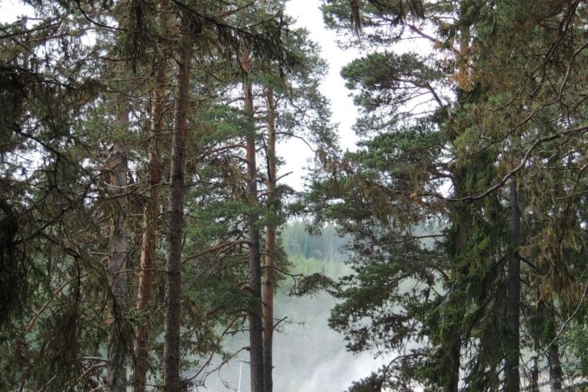 Solbacken Cottage - foto 34