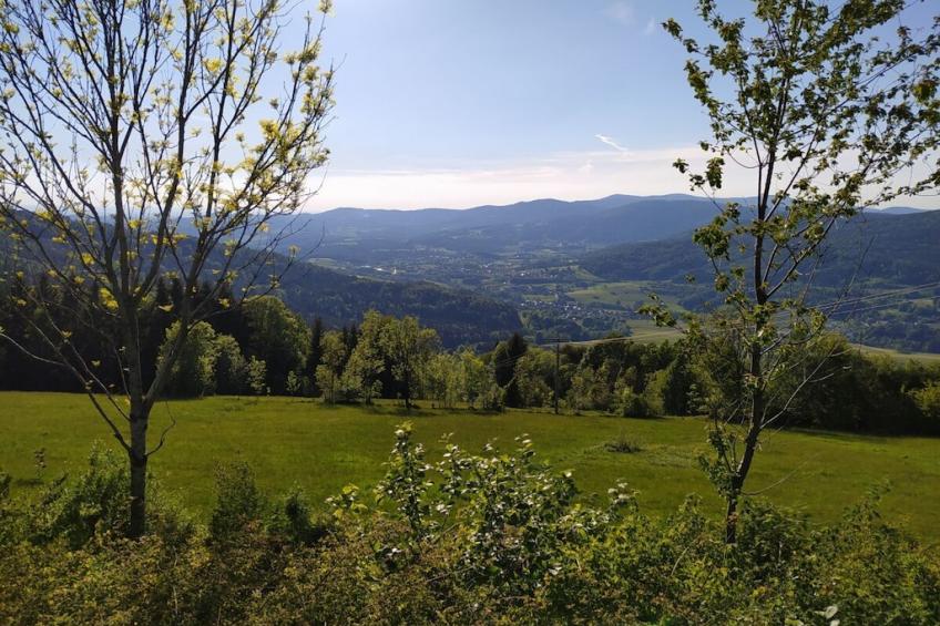216449 - foto 36