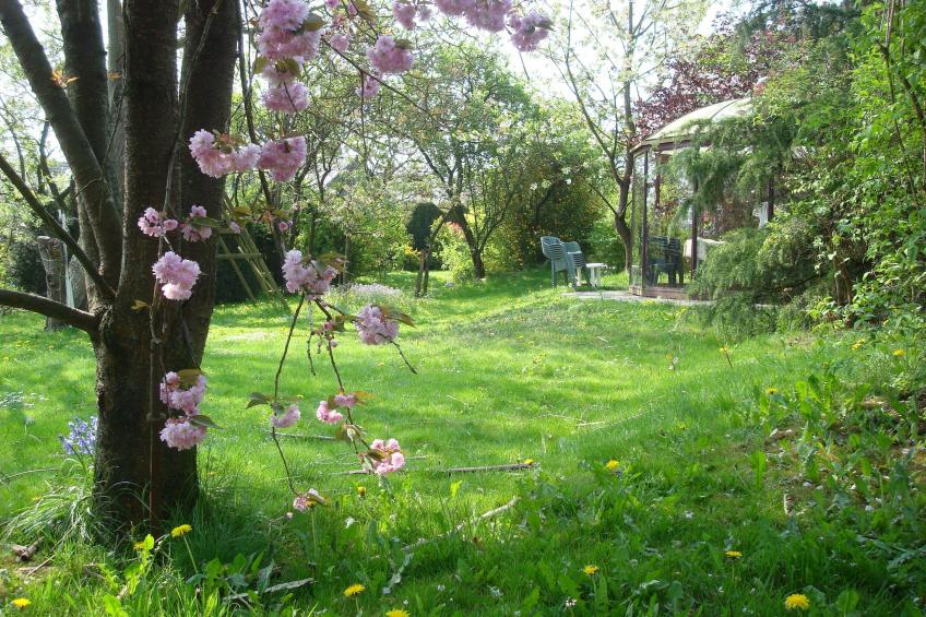 La Belle Jardinière - foto 32