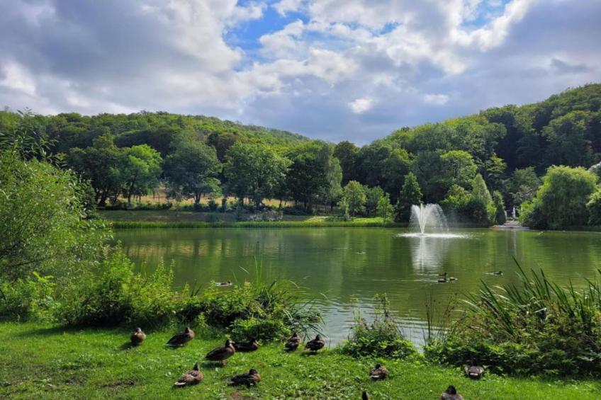 Neustadt 1 - foto 27