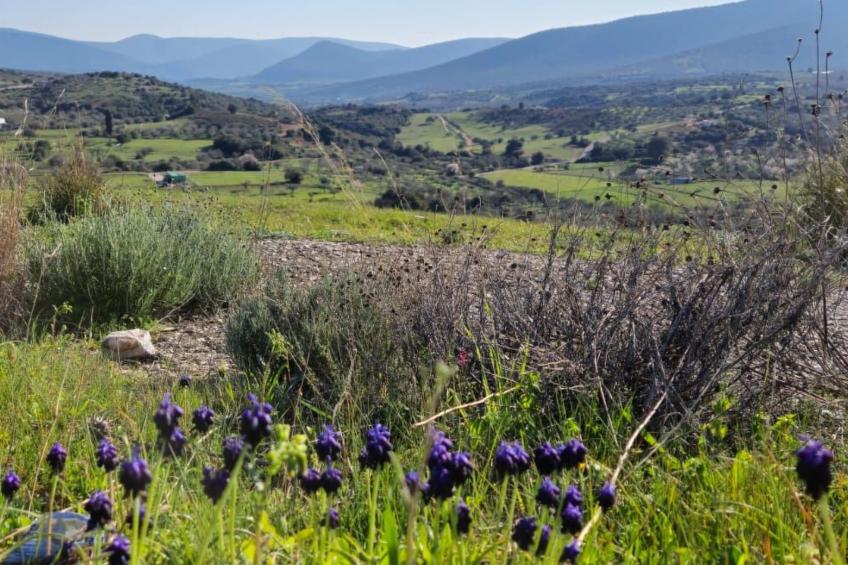 Villa Newlands, Porto Cheli - Meer und Berge. - foto 39