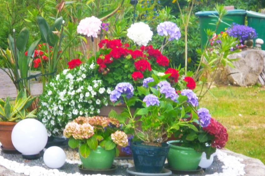 FeWo- Monteurwohnung - foto 19