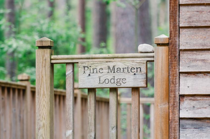 Pine Marten Lodge - foto 22