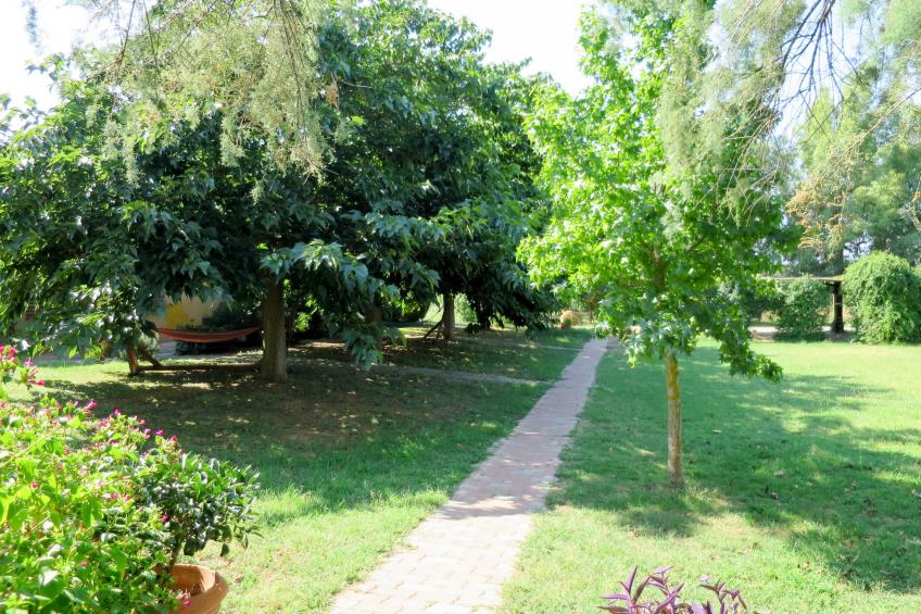 Agriturismo Podere Noé (ROC420) - foto 29