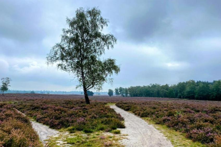 Halseweg 54 - foto 32