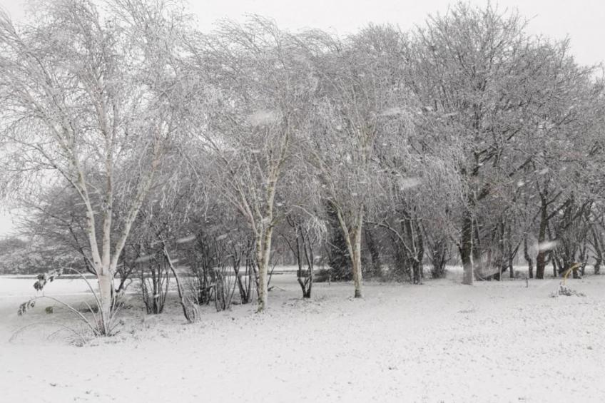 Parc de Kievit 18 - foto 40