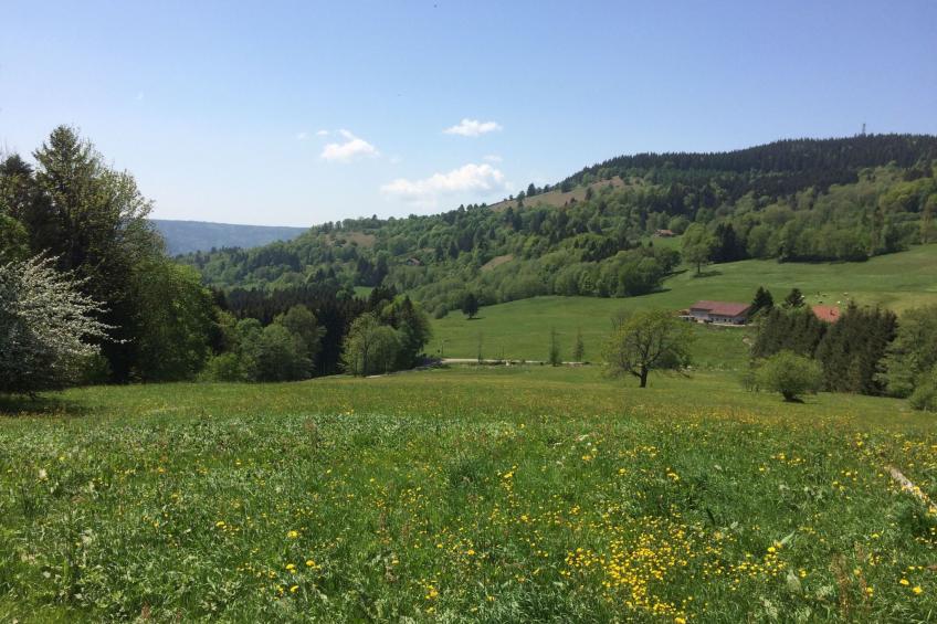 Domaine "Les Vieilles" mit Terrasse und Garten - foto 13