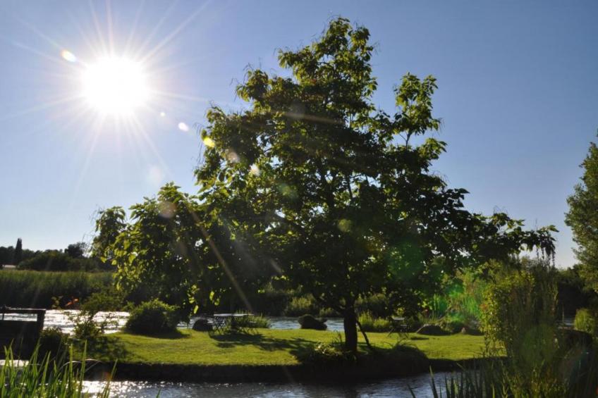 Maison Jaune - foto 36