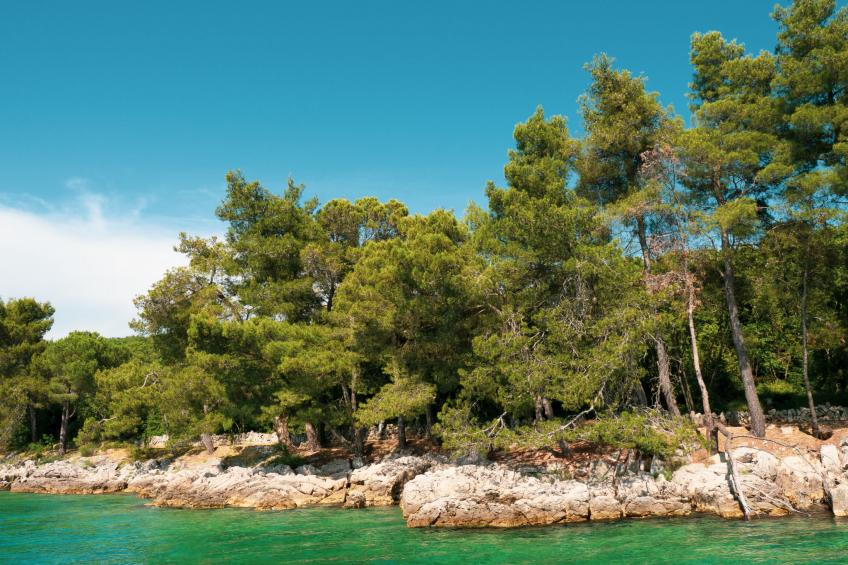 Villa Prestige - foto 32