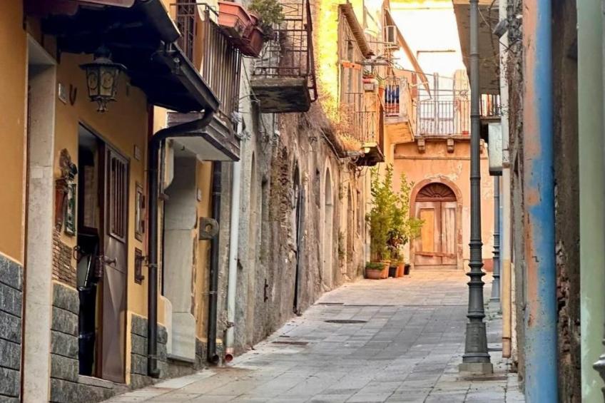 'The Garden - foto 39