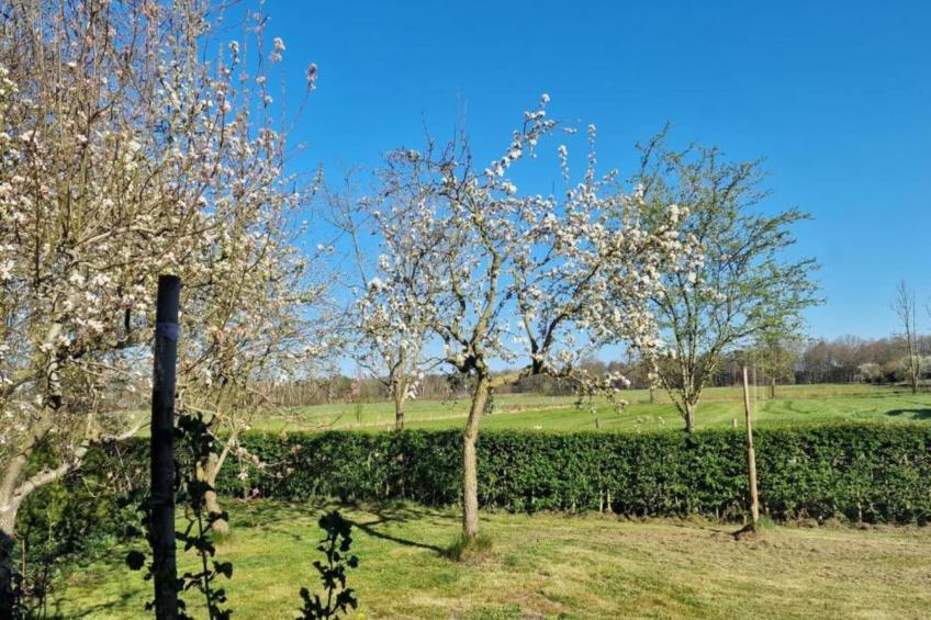 Heivlinder 4p - foto 29