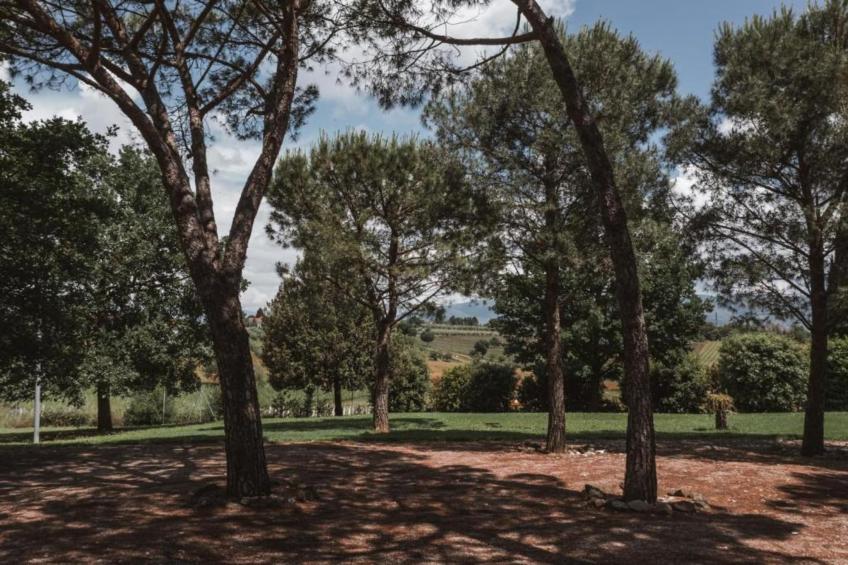 Castagno del Riccio - foto 23