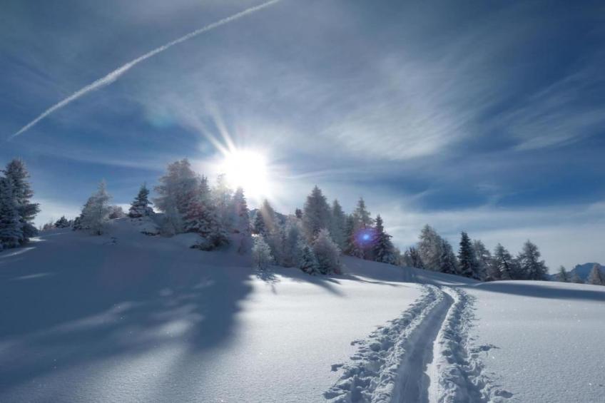 Paradis Perdu SKI IN & QUIET chalet 14 personnes - foto 33