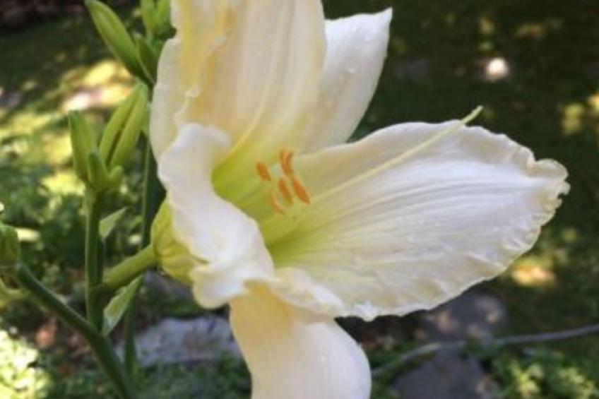 weg von der Zuvielisation - foto 13