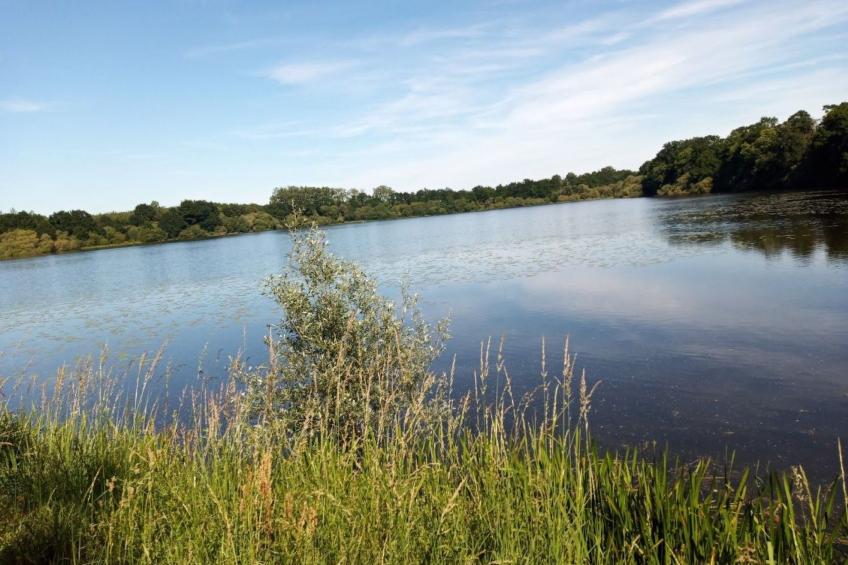 Villa La Côte du Chat -Familienhaus Bretagne - foto 29