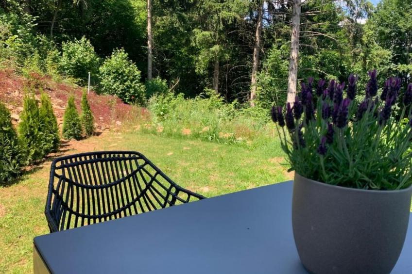 Fewo Am Sommerberg - foto 17