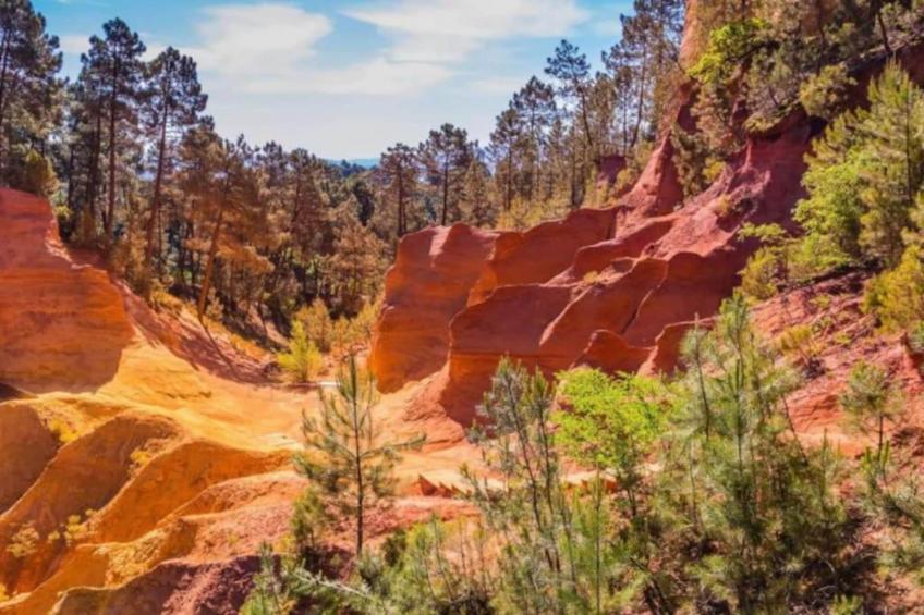 la petite Colline - foto 31