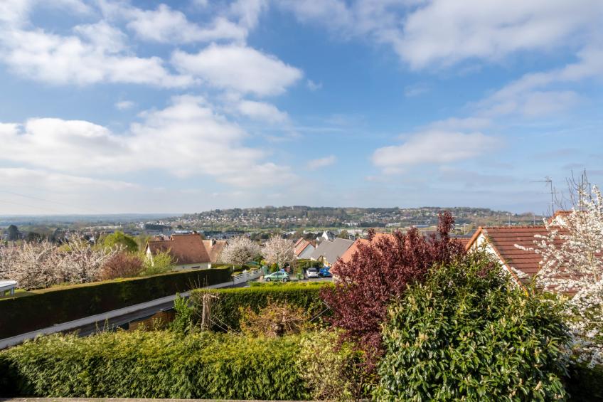 Les Jonquilles - foto 23