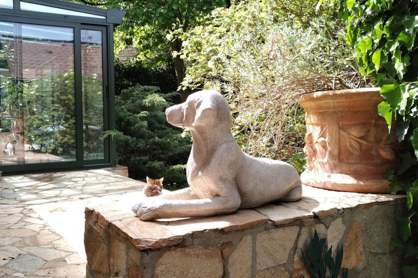 Versailles in Ruhe - foto 27