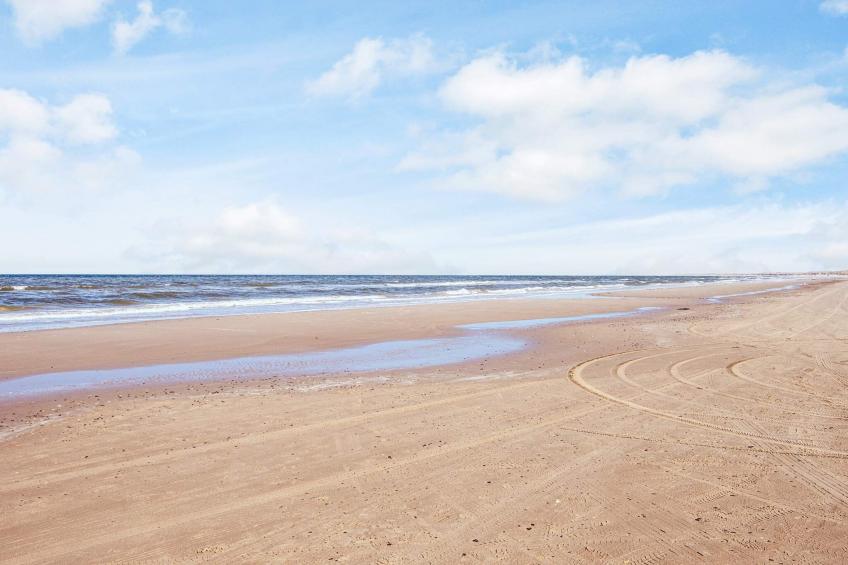 Skovhytte 4 personer - foto 27