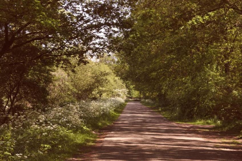 Vakantiecentrum 't Schuttenbelt 1 - foto 27