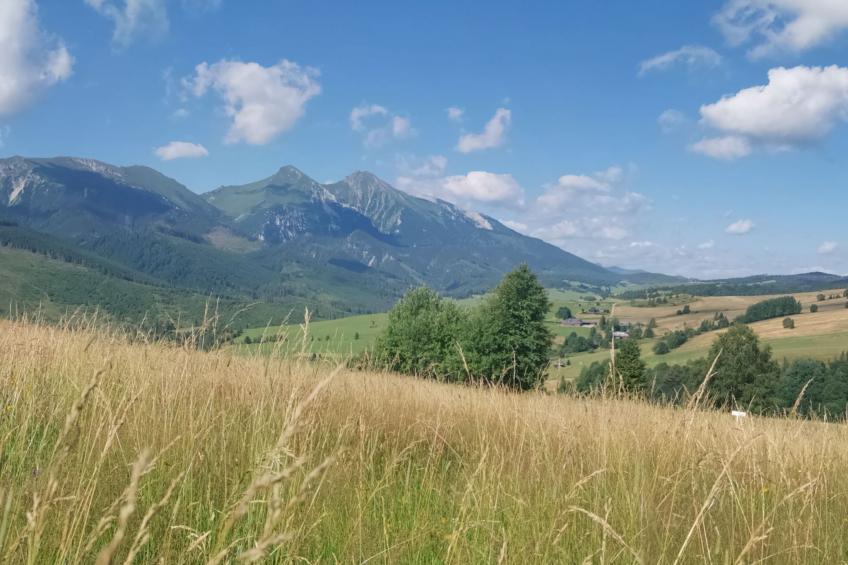 Chata Martina A - foto 23