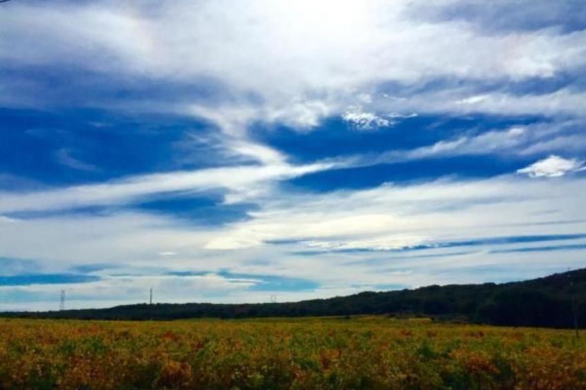 Villa Fleurie - foto 39