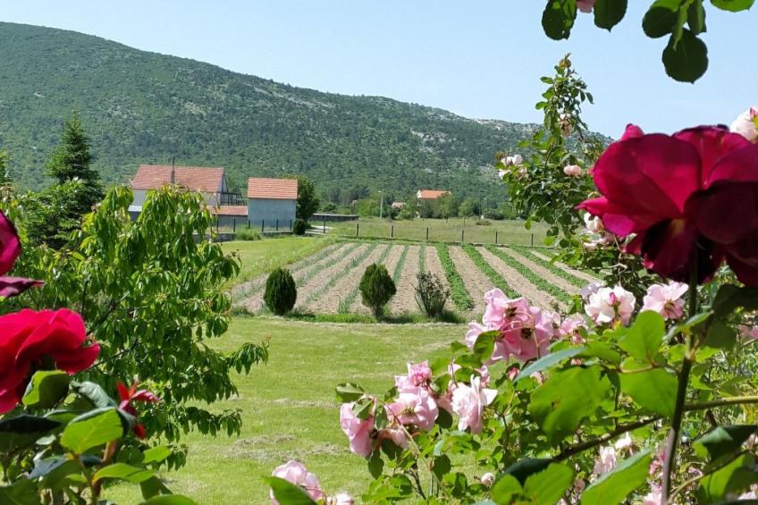 Villa Almas mit Schwimmbad, Fitnessraum, Tennisplatz - foto 6