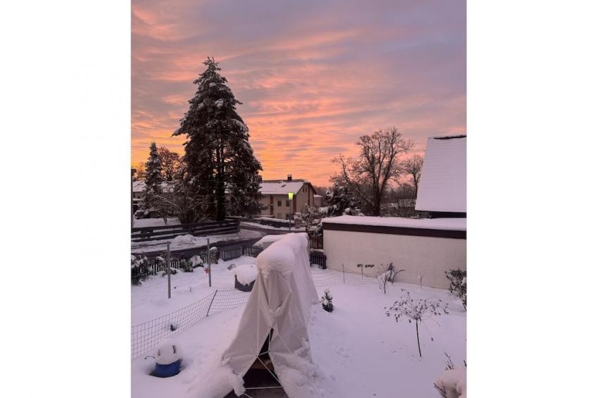 410824 - foto 6
