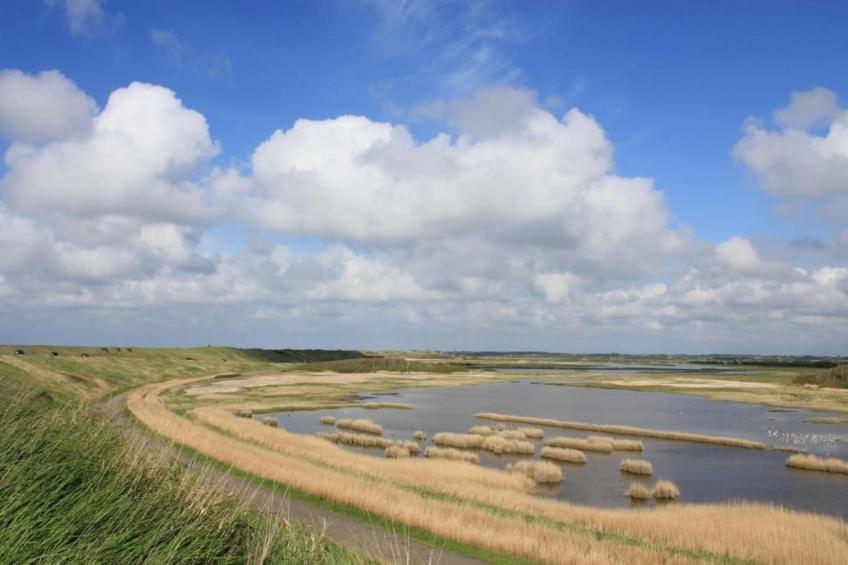 Studio - Zuidstraat 113 - foto 20