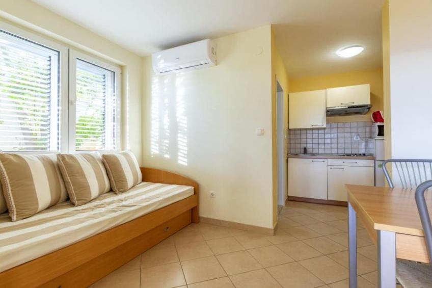 Apartments Radevenjić - Standard One Bedroom Apartment with Sea View and Terrace