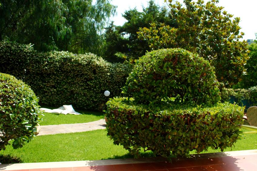 Villa Melograno - foto 31