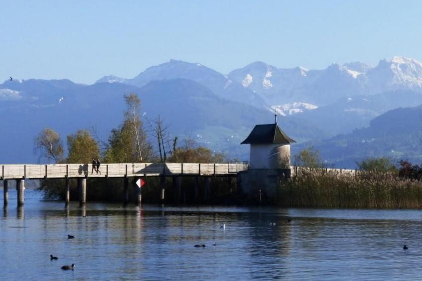 3-Zimmer Ferienwohnung Rapperswil am Zürichsee - foto 28