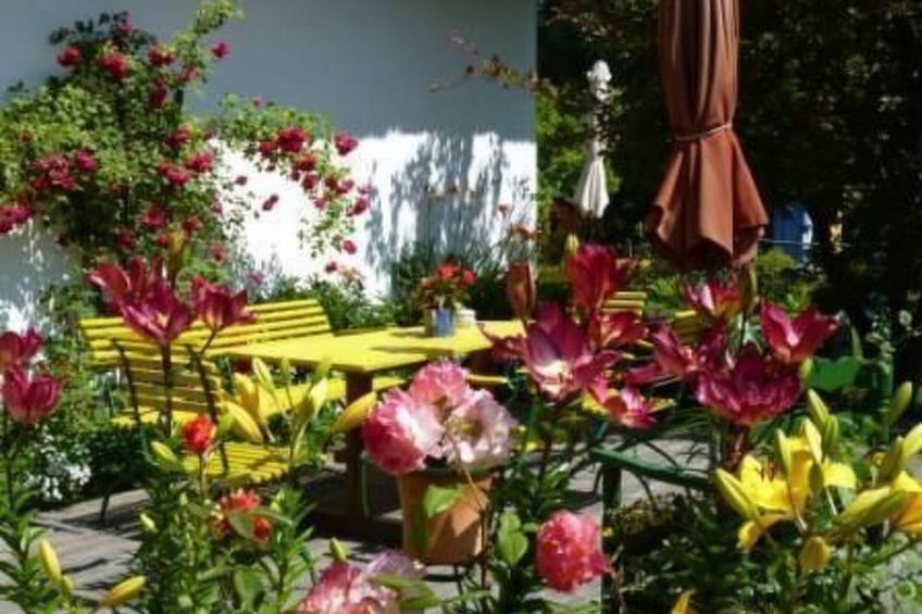 Morgensünn- Nette Wohnung in Althagen mit Terras - foto 12