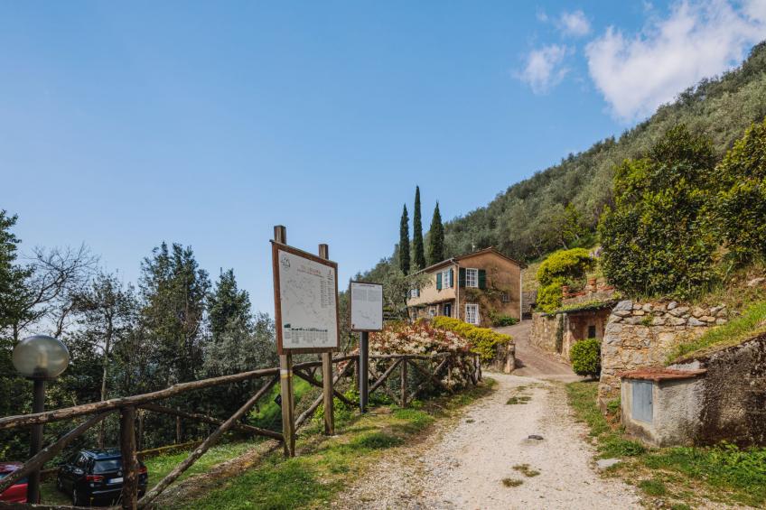 Il Glicine - foto 21