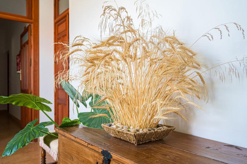 La Casa de Andújar - foto 39