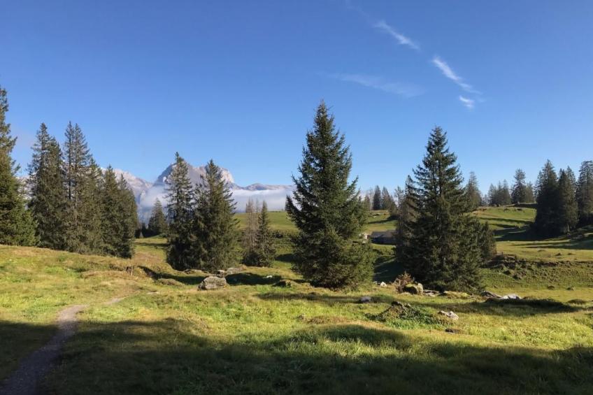 Altes Schulhaus - foto 28