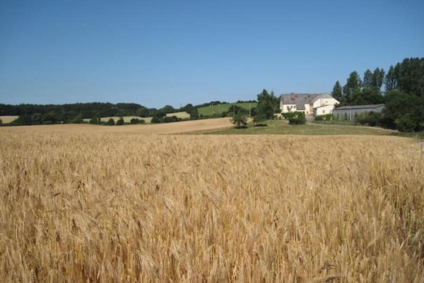 Hof Rodenkrog Fewo 1 - foto 34