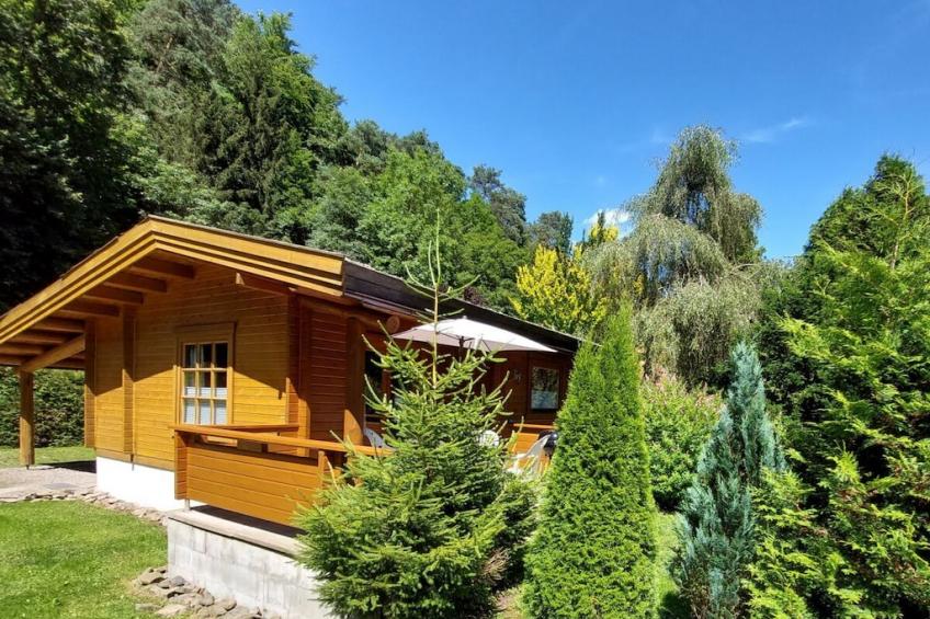 483486 - foto 2