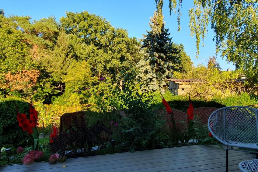 in Stolpe-Süd mit Grill und Garten - foto 12