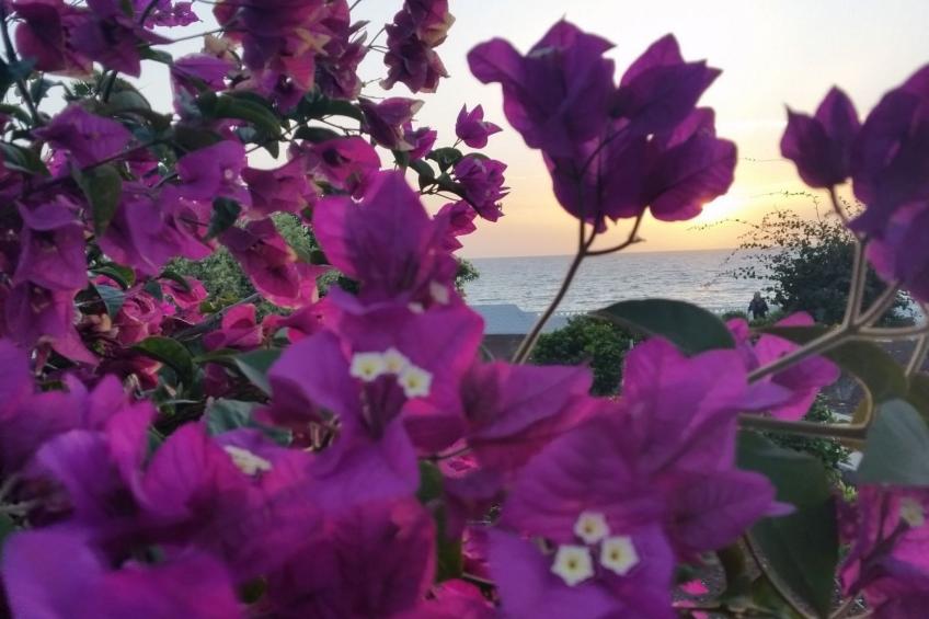 "Jandia" mit Wasserblick - foto 32