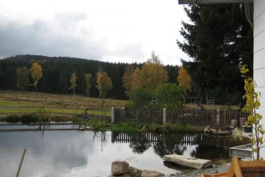 Wohnung in Haidmühle mit Terrasse und Garten - foto 12