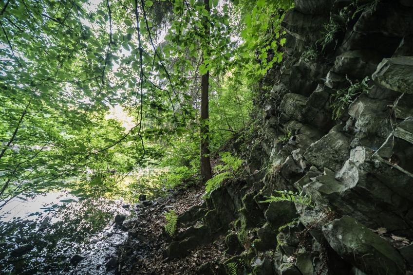 in Waldbreitbach mit Whirlpool - foto 24