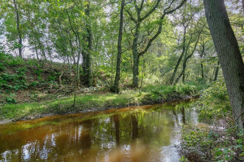 "Arnborg" - 2km from the sea in NE Jutland - foto 30