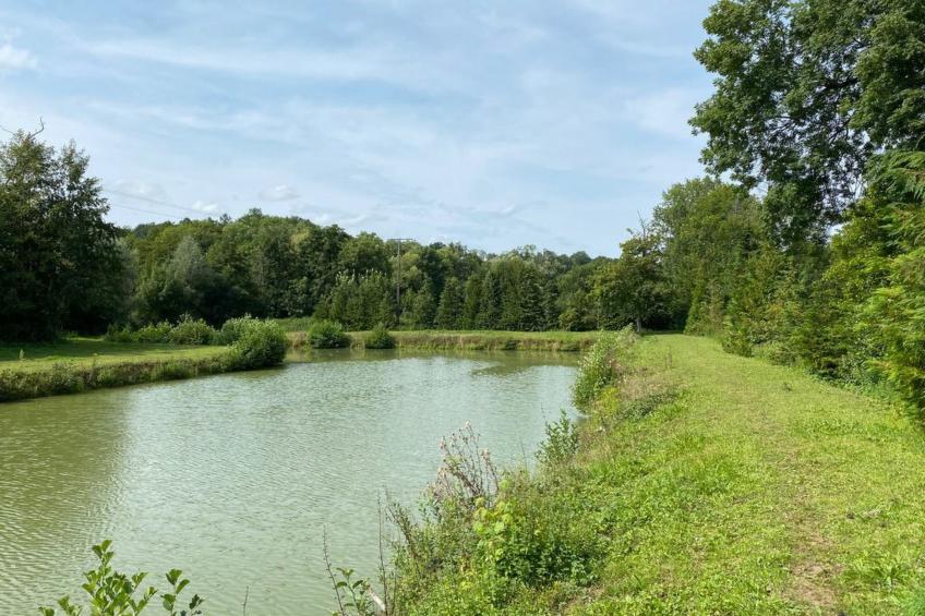 The Water Mill of Tourteron - foto 53