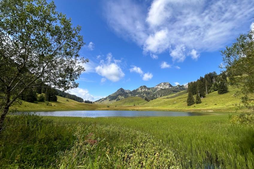 Sonnige Maisonette - foto 23