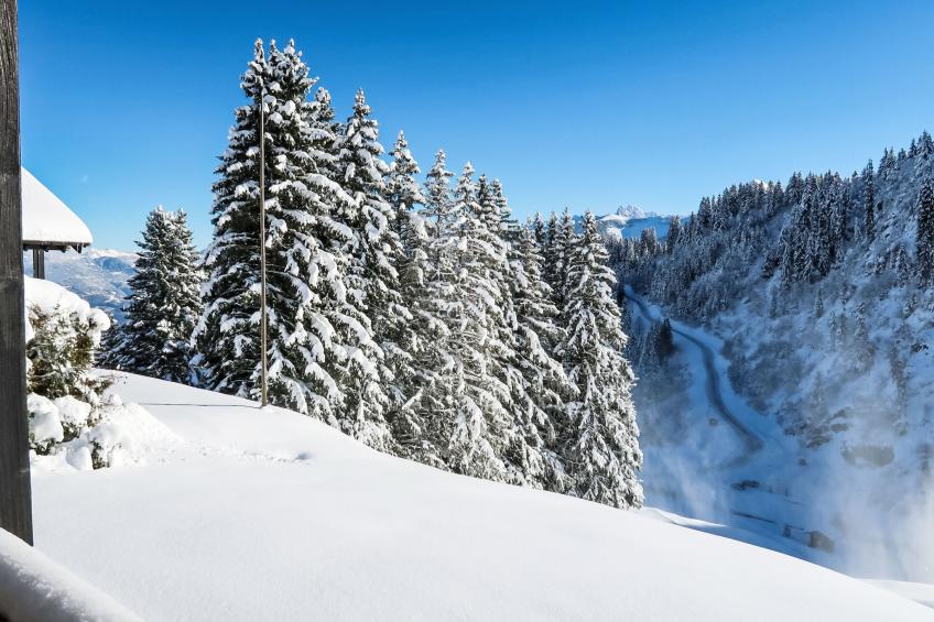 Le Cyclamen - foto 35