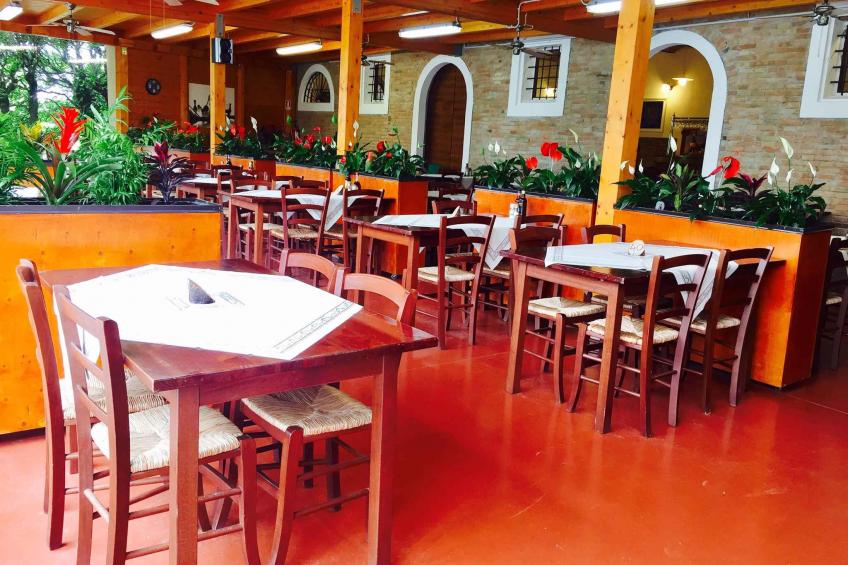 Holiday house on campsite in the pine forest - BF-NX2CW - foto 17