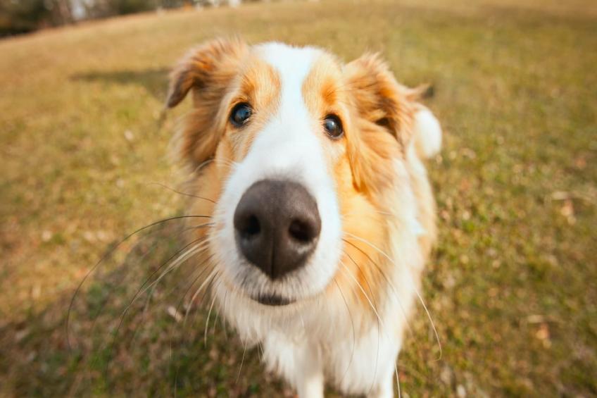 Casale Adriano Country House - foto 39